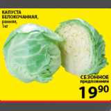 капуста белокочанная